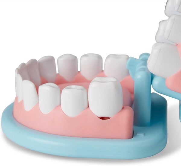 Melissa & Doug Super Smile Dentist Kit - Image 5