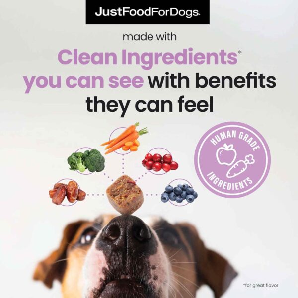 JustFoodForDogs Probiotic Booster - Image 6