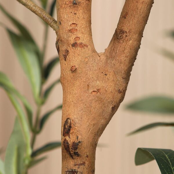 Kazeila Artificial Olive Tree 6FT - Image 3