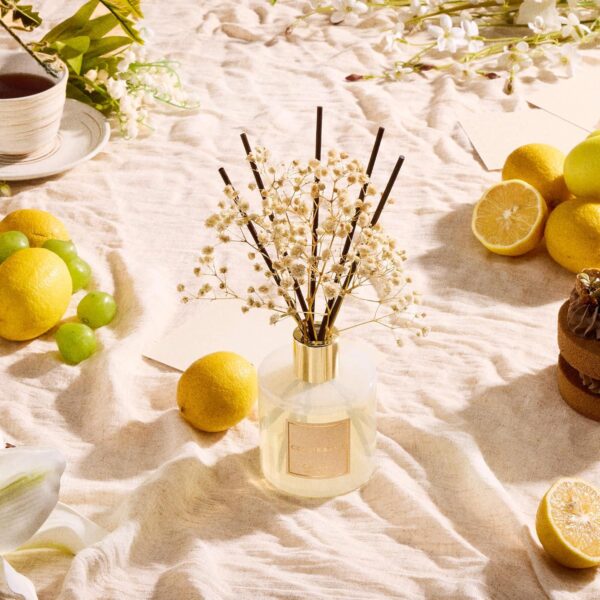 Cocorrína Reed Diffuser Set with Sticks - Image 6