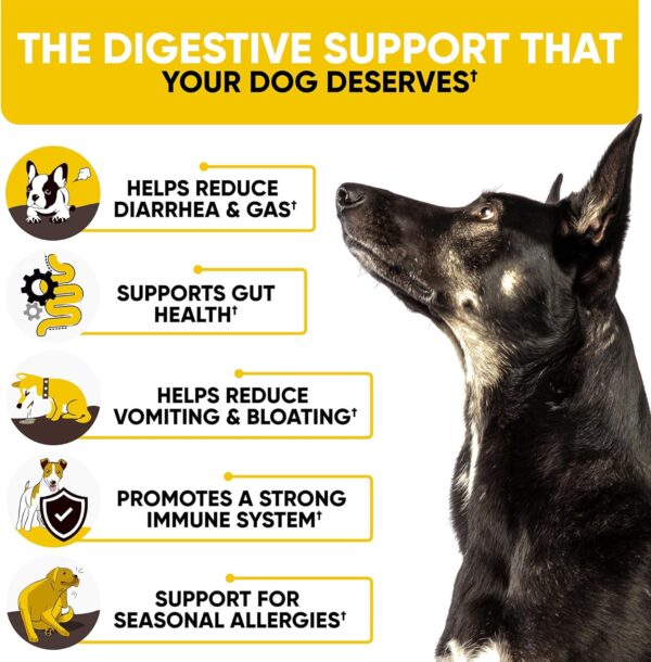 Probiotics Chews for Dogs - Image 4