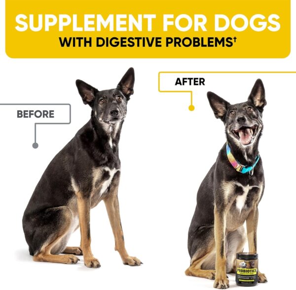 Probiotics Chews for Dogs - Image 6