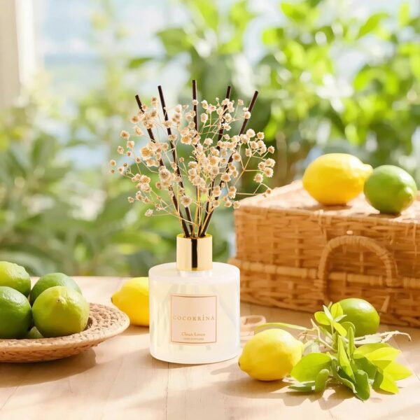 Cocorrína Reed Diffuser Set with Sticks - Image 3
